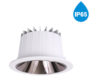 Water Proof Downlight, IP65, 30W