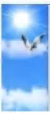 Sky Light 30*120, 40W