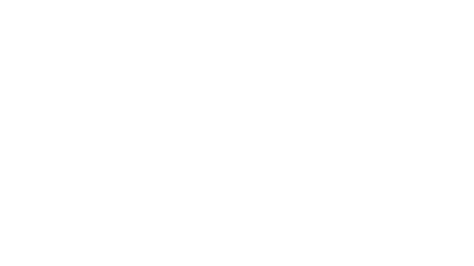 New LVX