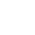 New LVX